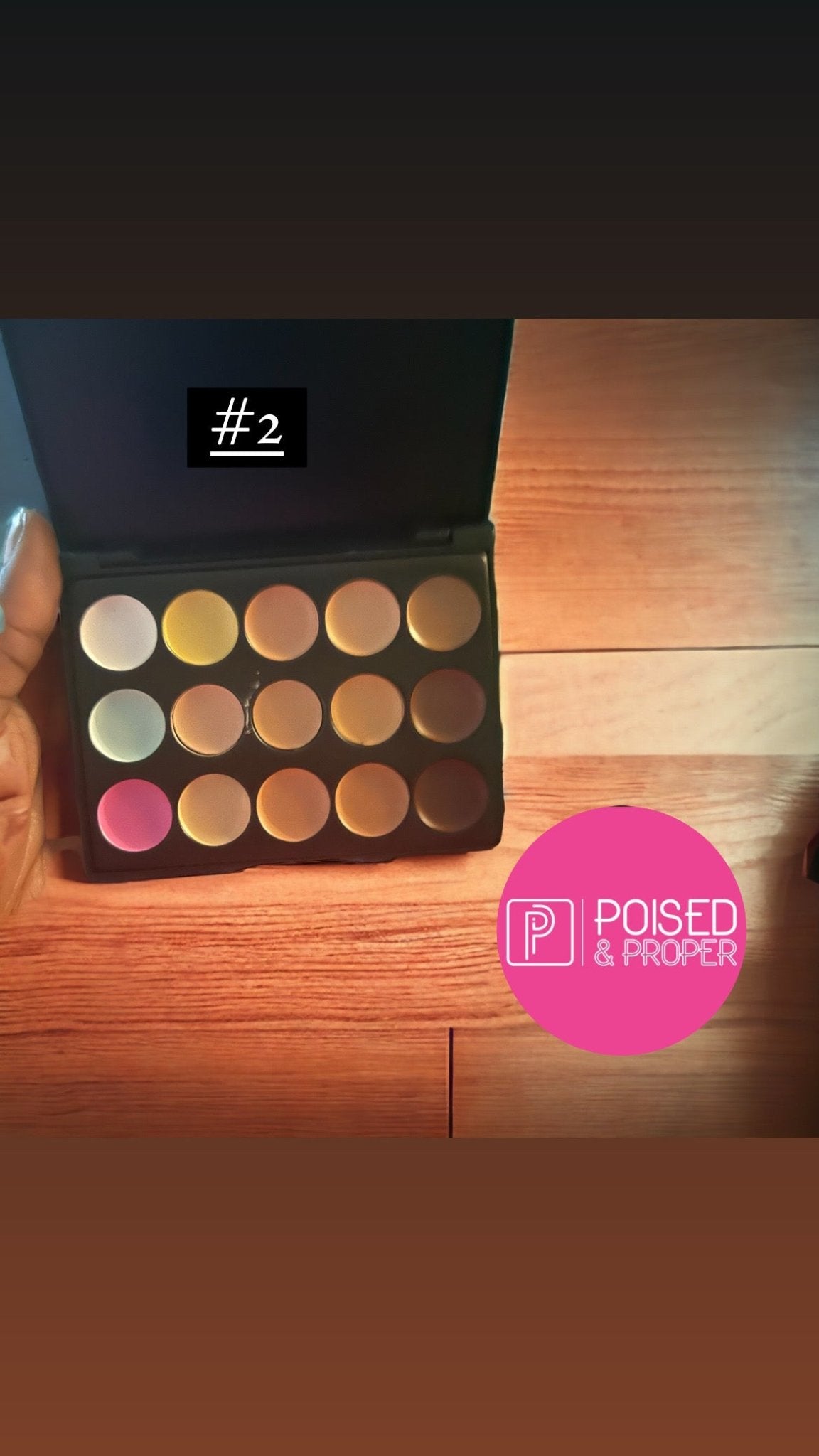 PNP Mini Make Up Kit - Poised & Proper